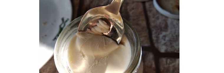 probióticos en complementos alimenticios