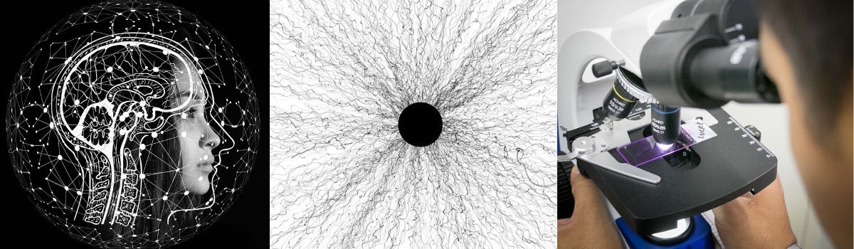 nanocosmética - tendencias en cosmética nanotecnologías en cosmética