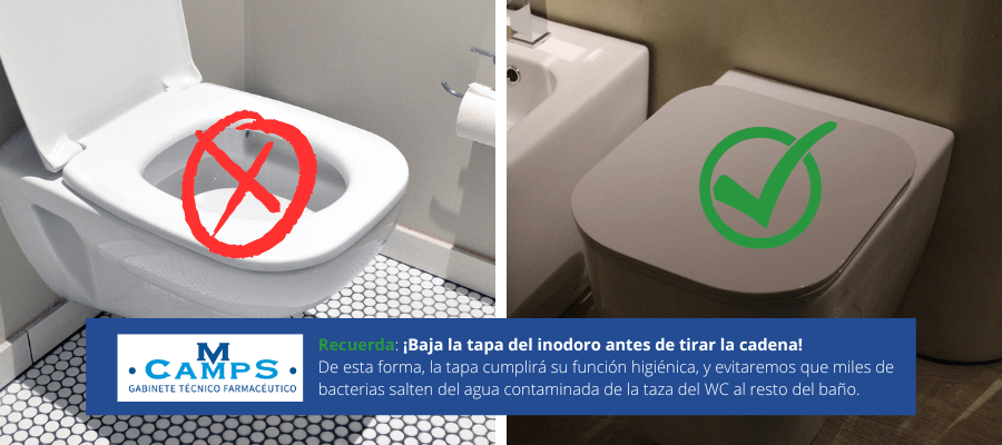 Sabías que... la tapa del inodoro cumple una función higiénica