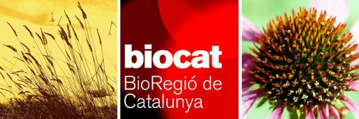 Vuelve el Fórum de la Bioregión: Save the date!